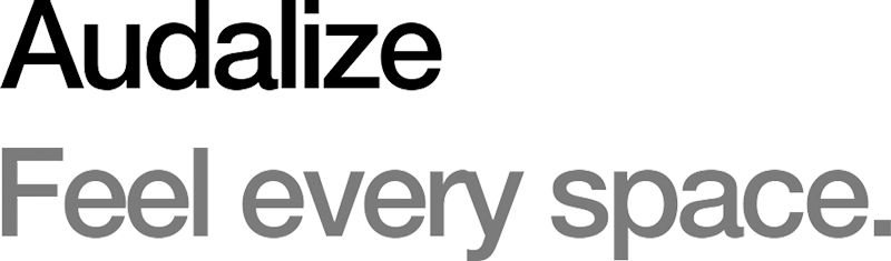 Audalize - McGirvan Media